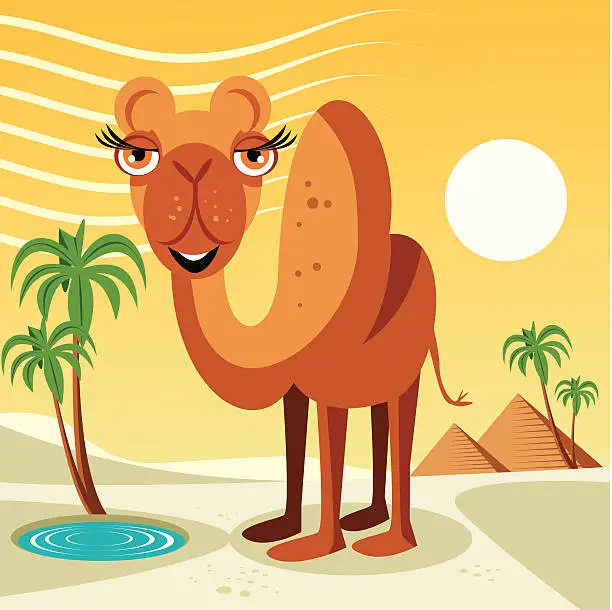 Vector illustration of Camel