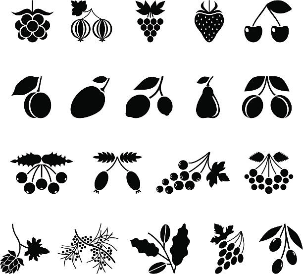 Berries and fruits Variable fruits and berries,simple black icons  strawberry salad stock illustrations