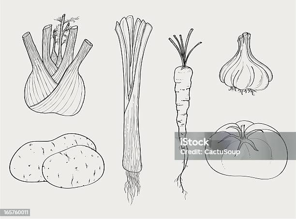 Warzyw - Stockowe grafiki wektorowe i więcej obrazów Rysować - Rysować, Jedzenie, Czosnek