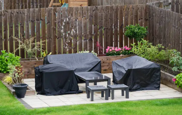 Photo of Garden plant display and outdoor furniture during summer