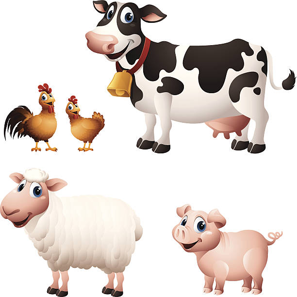 illustrazioni stock, clip art, cartoni animati e icone di tendenza di fumetto grafica di pollo, maiale, mucca e pecora - farm animal cartoon cow