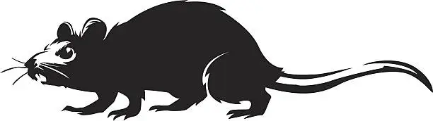 Vector illustration of walking rat