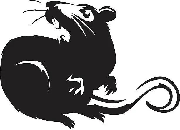Vector illustration of hissing rat