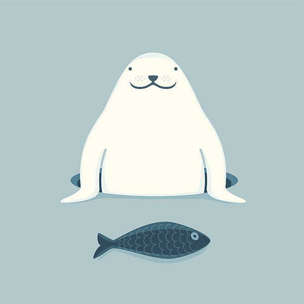 ilustraciones, imágenes clip art, dibujos animados e iconos de stock de foca de groenlandia con el personaje de historieta de pescado - foca