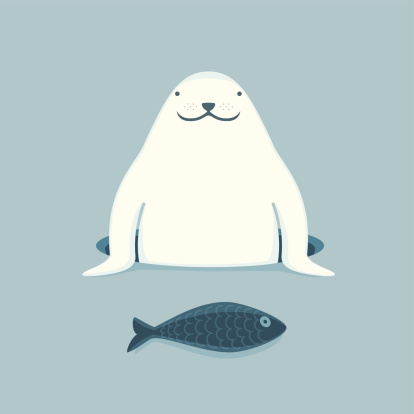 Vector illustration of a Harp Seal who caught the fish.