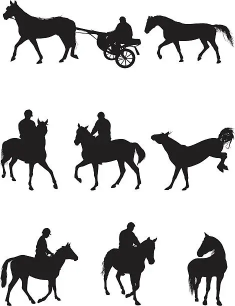 Vector illustration of Horses and riding