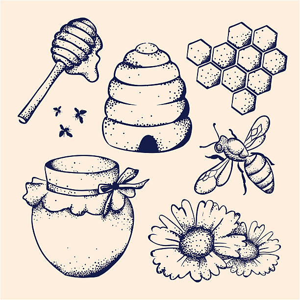 honey and bee - bal illüstrasyonlar stock illustrations