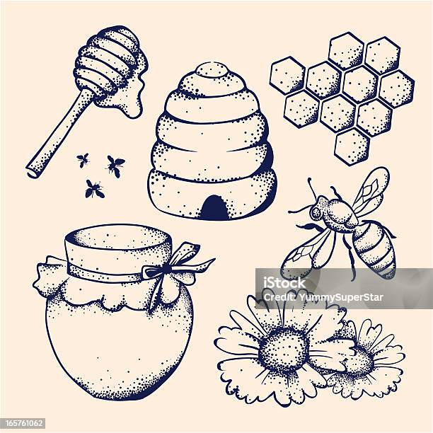 Honey And Bee Stok Vektör Sanatı & Bal‘nin Daha Fazla Görseli - Bal, Arılar, Bal Peteği