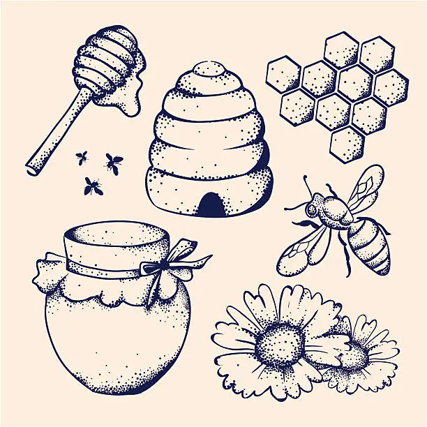 Vector illustration of Honey and bee