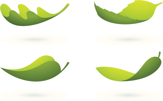 Collection of vector illustration of a flying leafs with shadow.
