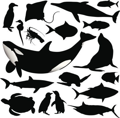 A collection of detailed ocean animal silhouettes.