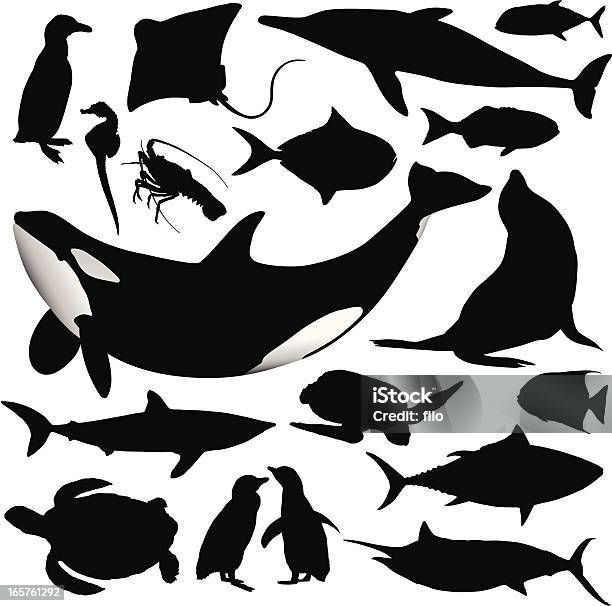 Ocean Animal Silhouettes Stock Illustration - Download Image Now - In Silhouette, Animal, Skate - Fish