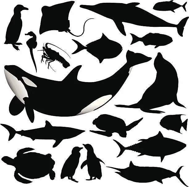 Vector illustration of Ocean Animal Silhouettes