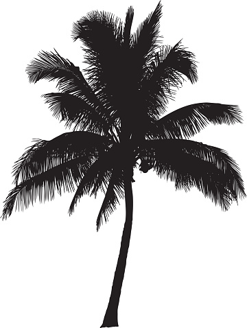 Vector illustration. Simple silhouette of a coconut palm tree.
