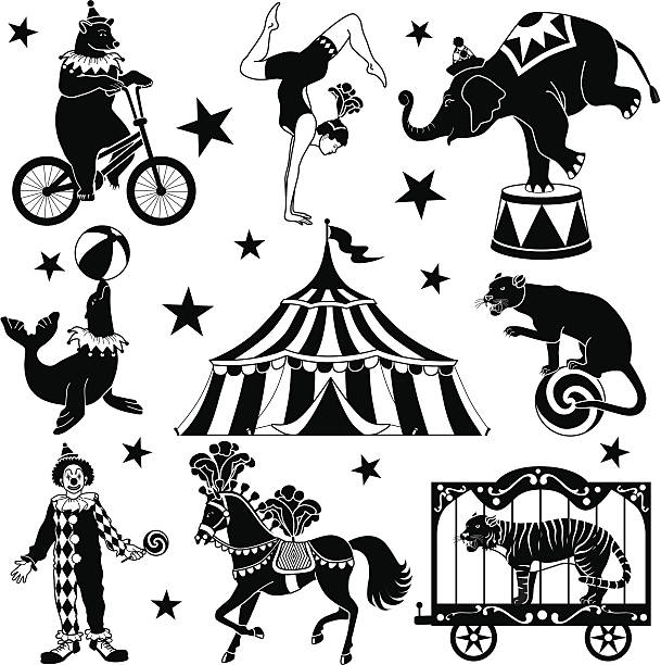 circus characters Vector illustrations of circus characters: bear riding a bicycle, acrobat, elephant standing on one foot, seal balancing a ball, circus tent, leopard on a ball, clown, circus horse, tiger in a circus wagon. circus tent illustrations stock illustrations
