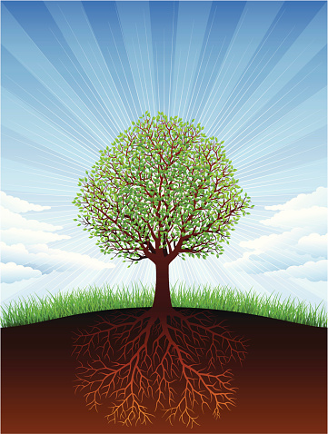 árbol de ramas y raíces clip art vector gratis árbol de ramas y raíces clip art vector gratis