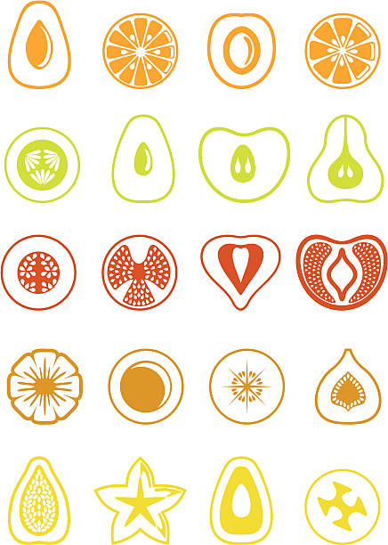 ilustrações de stock, clip art, desenhos animados e ícones de fatias de fruta simples. - fig apple portion fruit