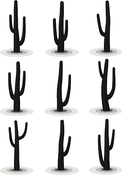 2,952 Cactus Silhouette Illustrations & Clip Art - iStock | Cactus  silhouette vector