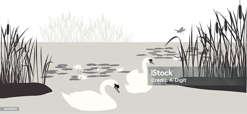 Swan'nCattails - arte vectorial de Cisne libre de derechos