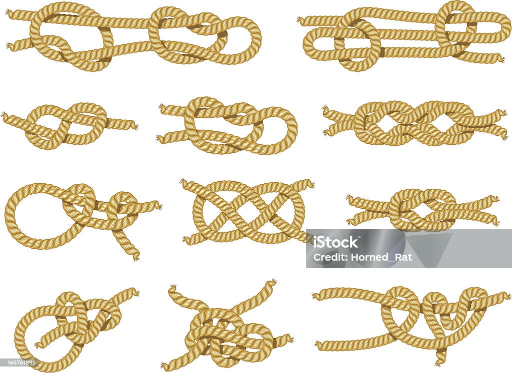 Demonstration of different types of knots - Royaltyfri Knut vektorgrafik