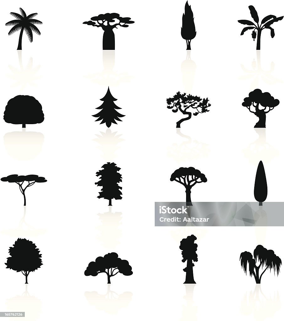 Schwarze Symbole-Bäumen - Lizenzfrei Affenbrotbaum Vektorgrafik