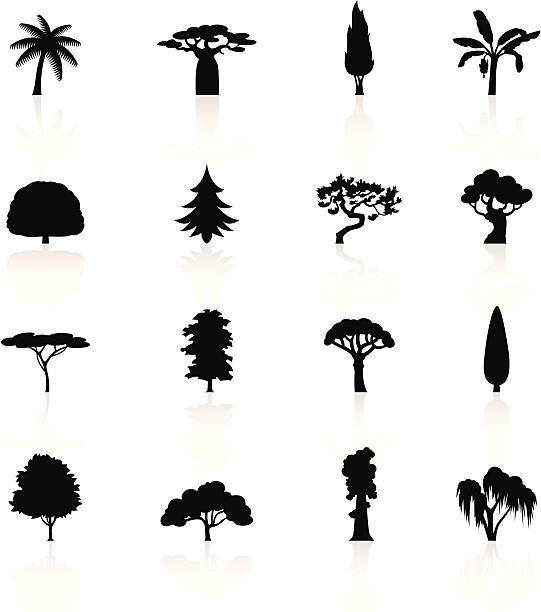 Black Symbols - Trees Illustration of different Trees symbols. cypress tree stock illustrations