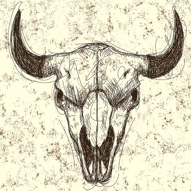 illustrazioni stock, clip art, cartoni animati e icone di tendenza di sfondo di teschio di mucca - animal skull cow bull old