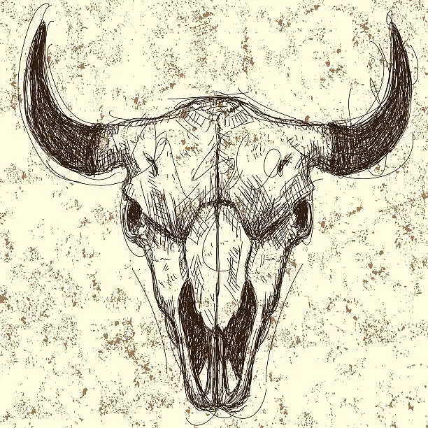 Vector illustration of Cow skull background