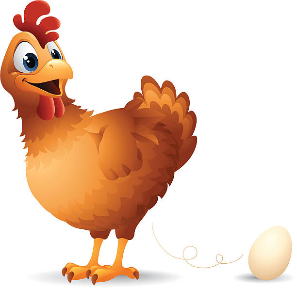Chicken Egg Stock Illustration - Download Image Now - Chicken - Bird,  Laying Egg, Animal - iStock