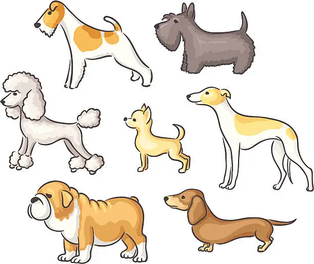 Vector illustration of Dog breeds