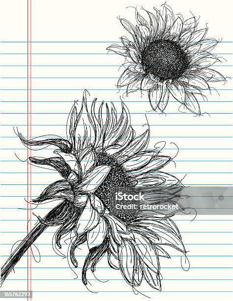 Sunflowers Stock Illustration - Download Image Now - Sunflower, Vector, Flower
