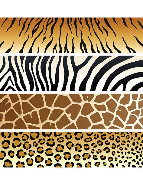 Animal Print | Banners vector art illustration