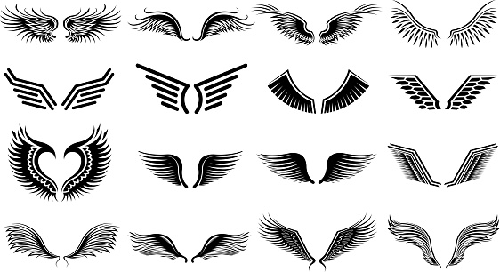 drawing and computer design of vector wing symbol set.