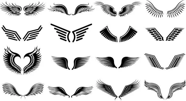 Vector illustration of wing symbols