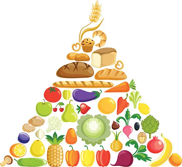 Vector illustration of Vegetarian food pyramid