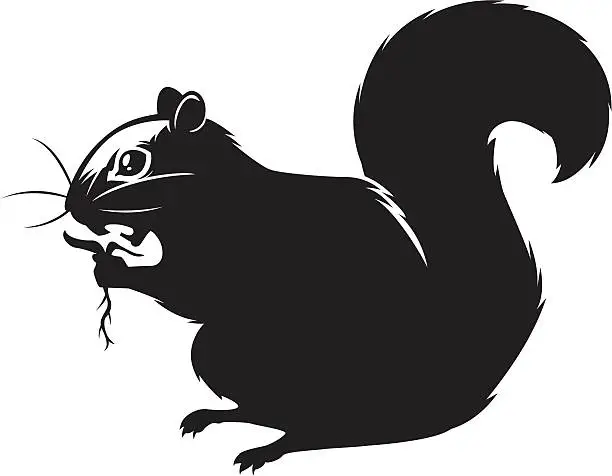 Vector illustration of eating squirrel