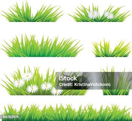 istock Set of illustrations of grass and flowers 165762974