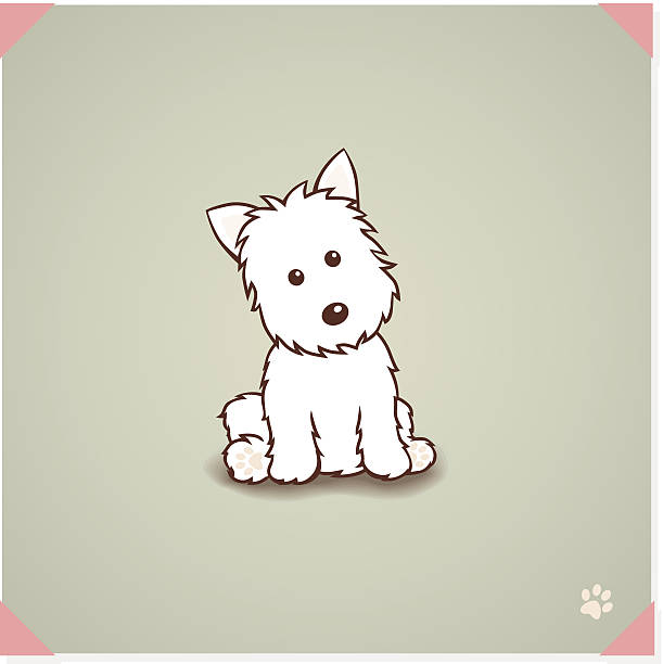 west highland terrier pies - terrier dog puppy animal stock illustrations