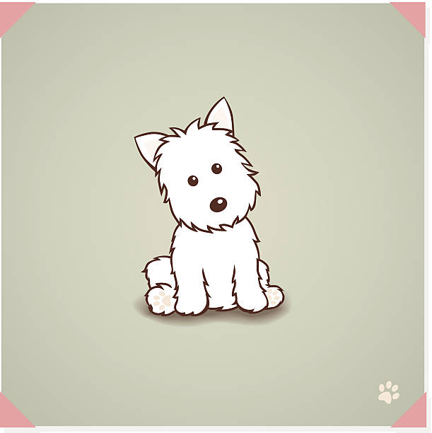 West highland terrier Dog Curious Westie dog sitting stock illustrations
