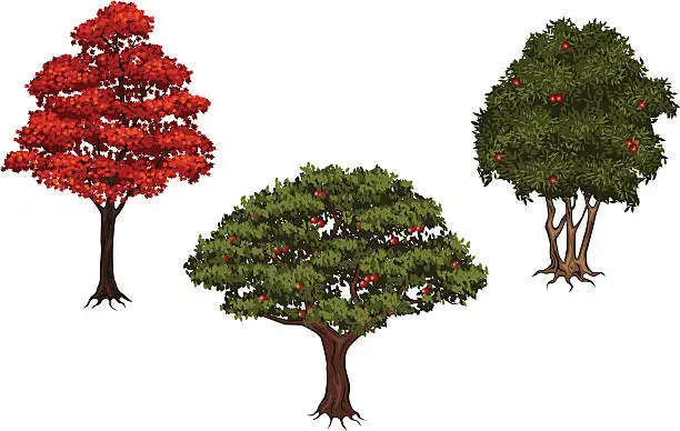 Vector illustration of tree set