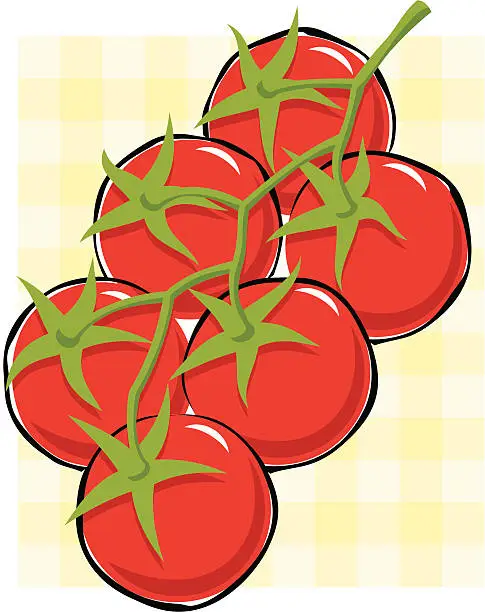 Vector illustration of Tomatoes on the vine