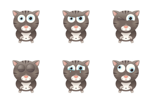 Six facial expressions of a cute little cat.