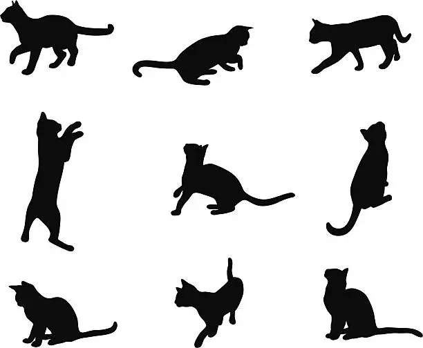Vector illustration of Kitten Life Vector Silhouette