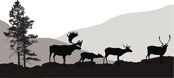 Vector illustration of Northern Elk Vector Silhouette