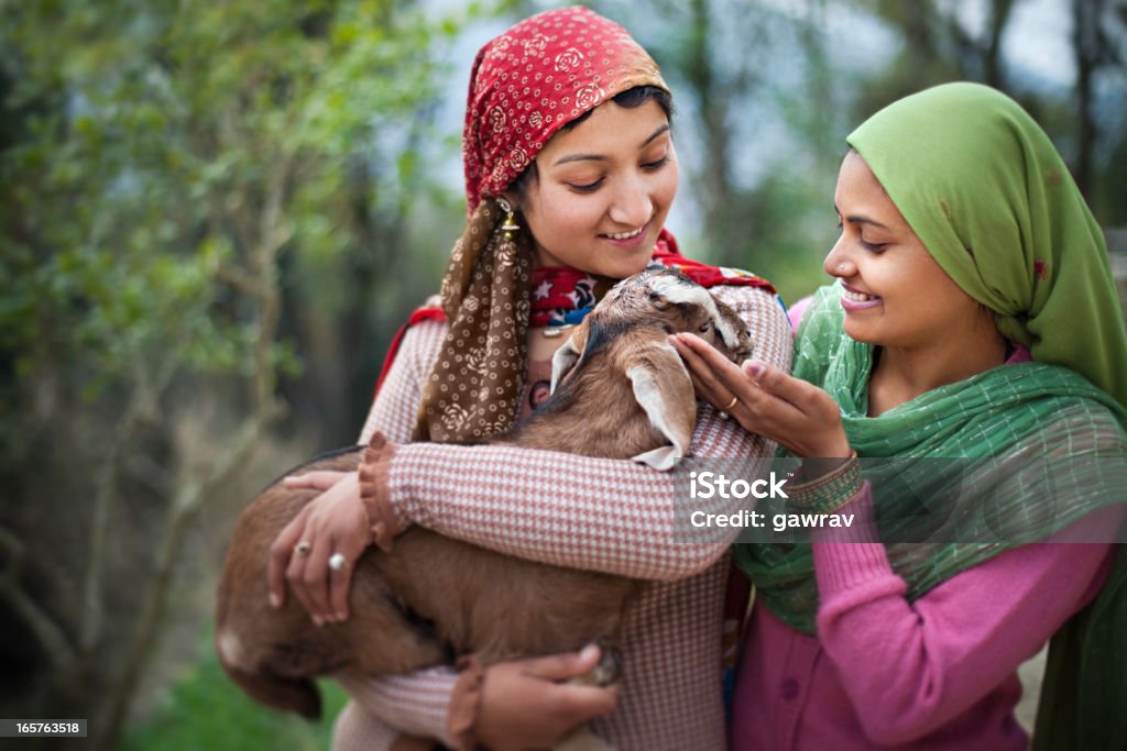 Personas de Himachal Pradesh: Hermosas mujeres jóvenes con niños de cabra - Foto de stock de 20 a 29 años libre de derechos