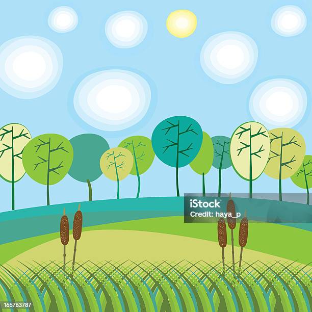 Bog 사초과 Reeds On 화창한 날 0명에 대한 스톡 벡터 아트 및 기타 이미지 - 0명, 갈대속-벼과, 계절