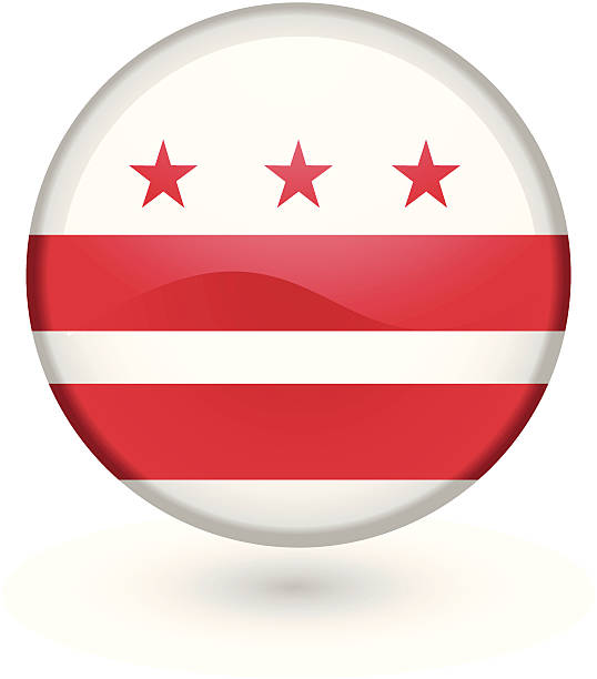 Washington DC flag button vector art illustration