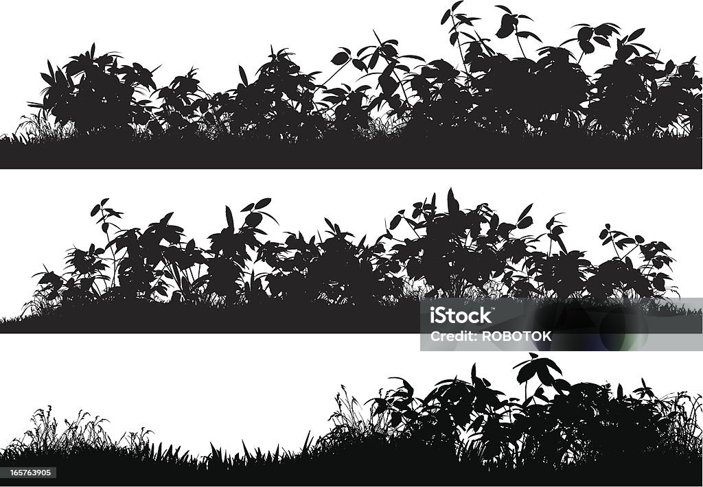 Bushes and Grass Very high detail grass and bushes. In Silhouette stock vector