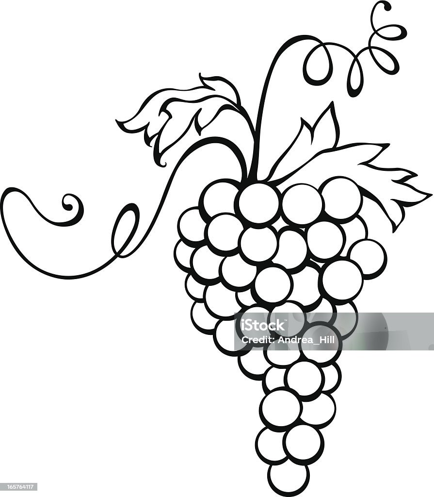 Vecteur icône de raisin isolé sur fond blanc. - clipart vectoriel de Fond blanc libre de droits