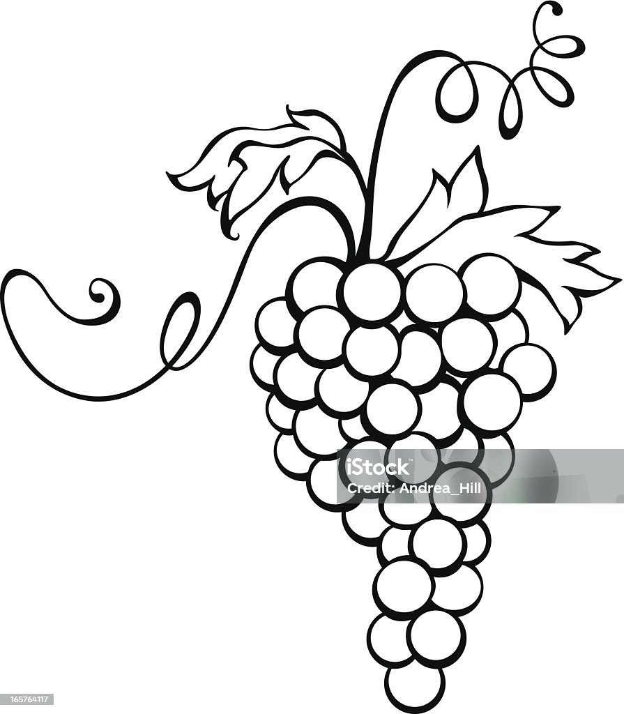 Ícone de vetor de uvas isolado no fundo branco. - Vetor de Fundo Branco royalty-free